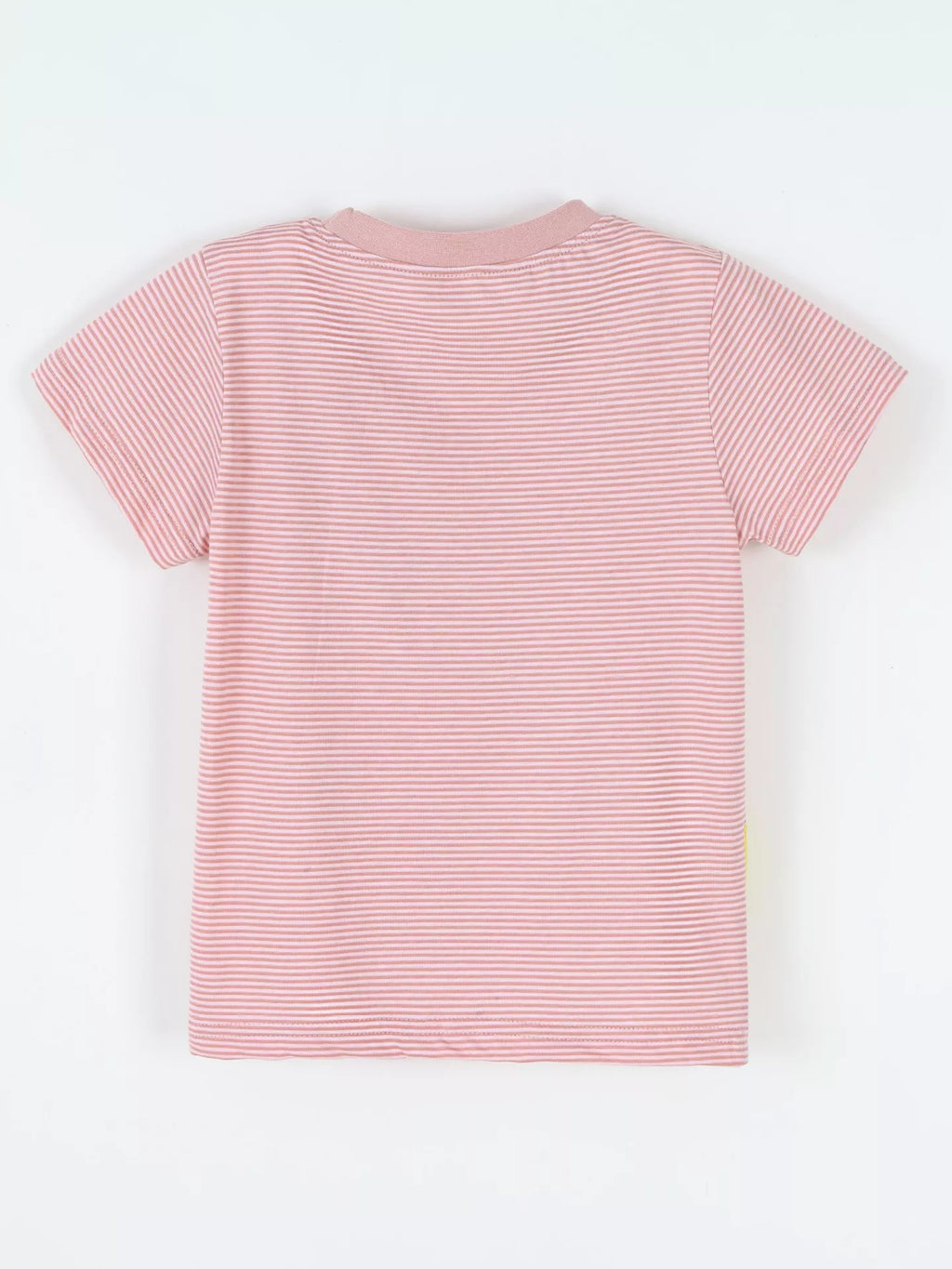 Striped Dinosaur Short Sleeve Tee in Orange, product view 5