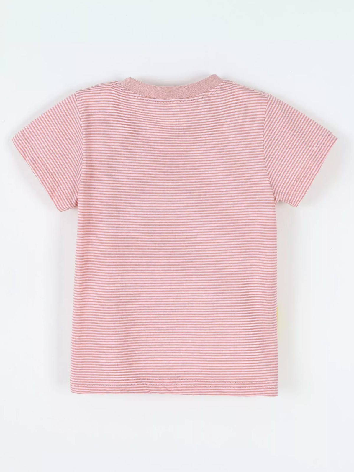 Striped Dinosaur Short Sleeve Tee in Orange, product view 5