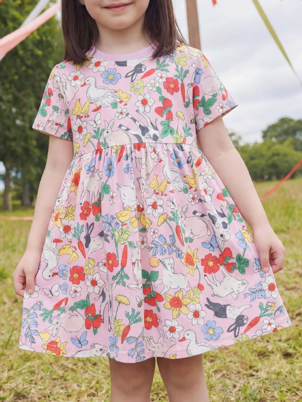 Printed Round Neck Dress in Pink, product view 1