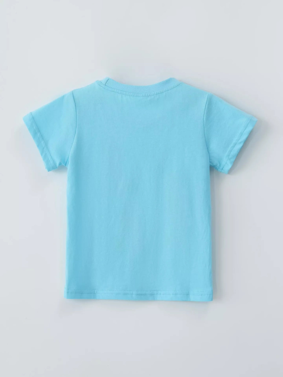 Embroidered Round Neck T-Shirt in Lake Blue, product view 5